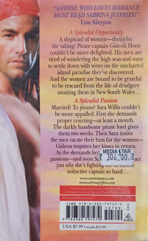 The Pirate Lord (back)