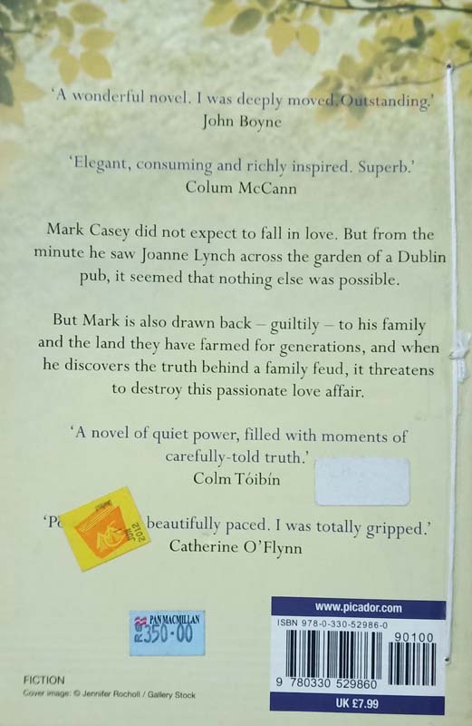 Solace (back)