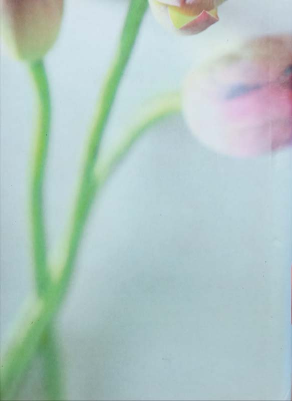 Three Chinese Poets (back)