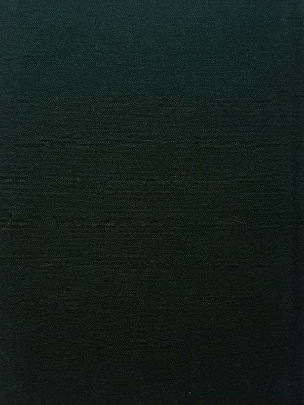 The Secret Garden (back)
