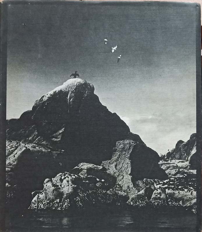 Islands (back)