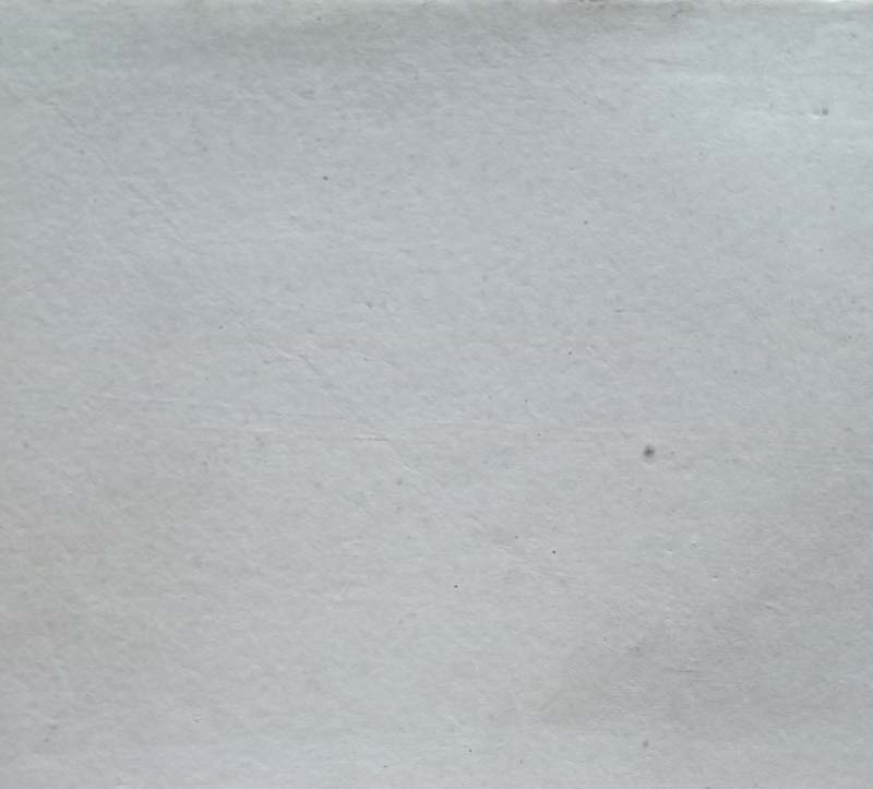 Tulsidas (back)