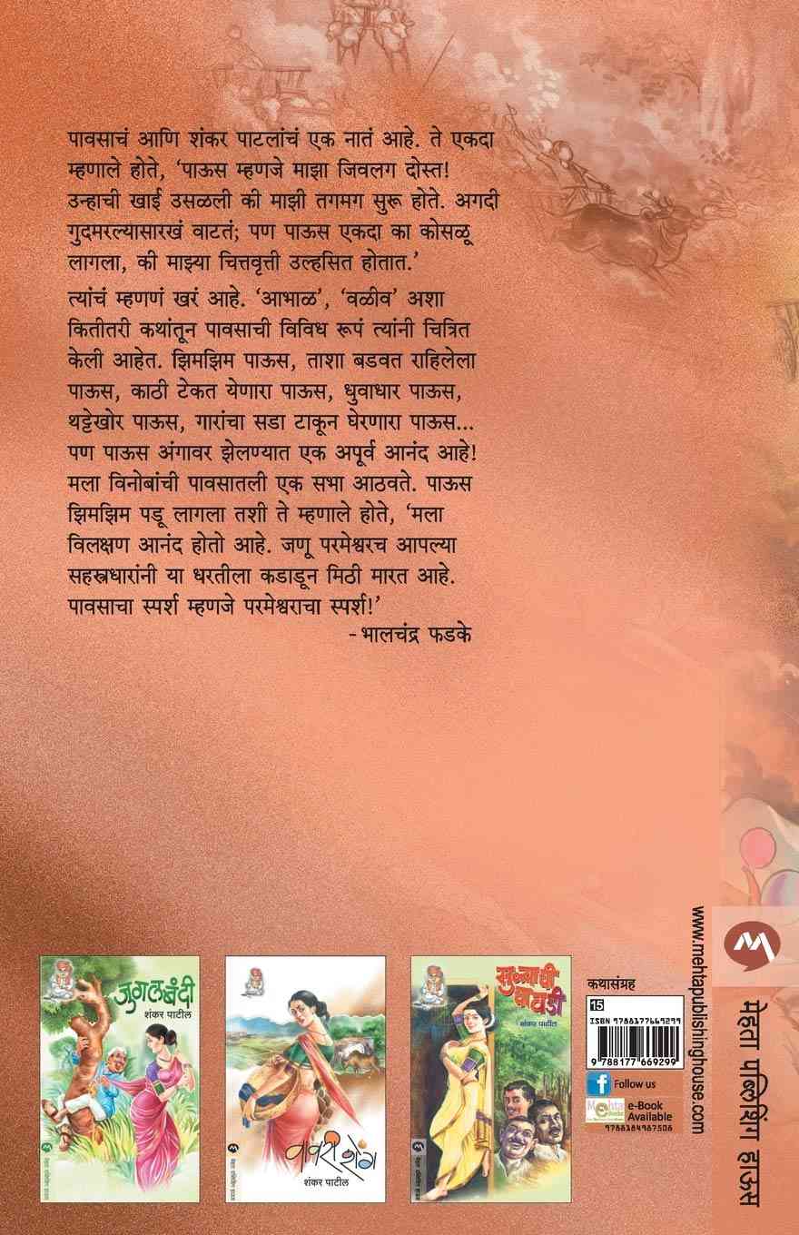 Shree Sai Charitra (श्री साई चरित्र) (back)