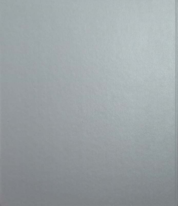 Eggs And Cheese (back)