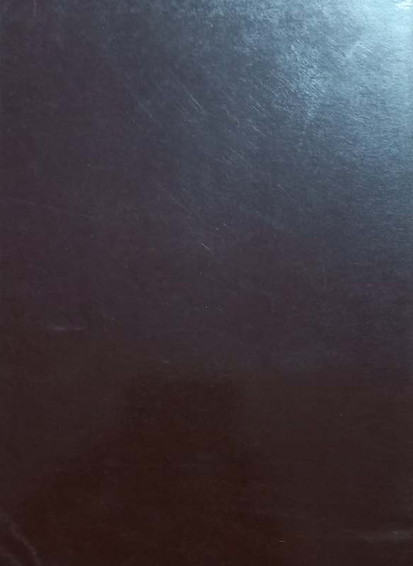 The Curry Lovers' Cookbook (back)