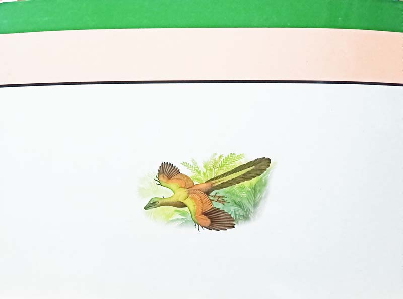 Dinosaurs (back)