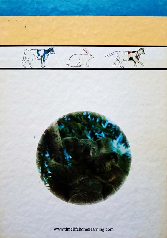 Animal Friends (back)