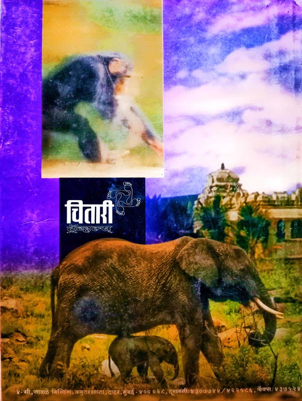 As Asav Aai Pan (असं असाव आई पण) (back)