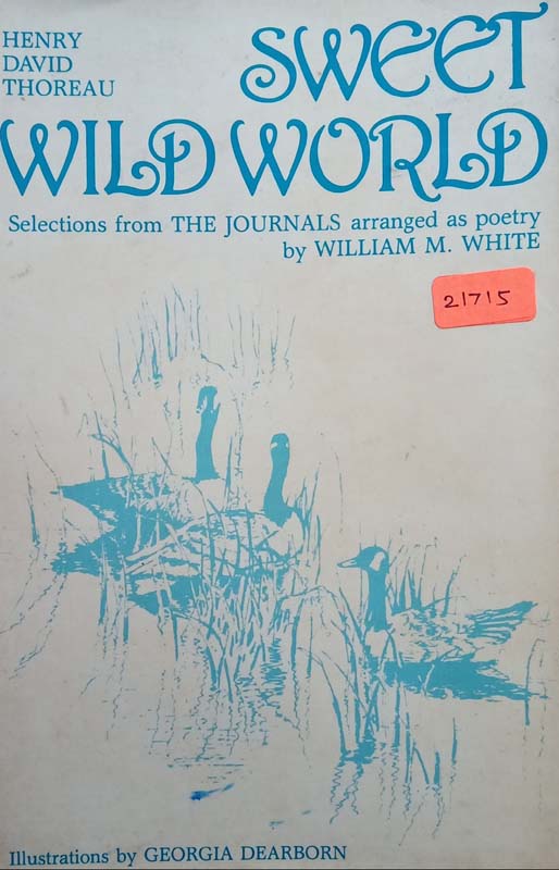 Sweet Wild World