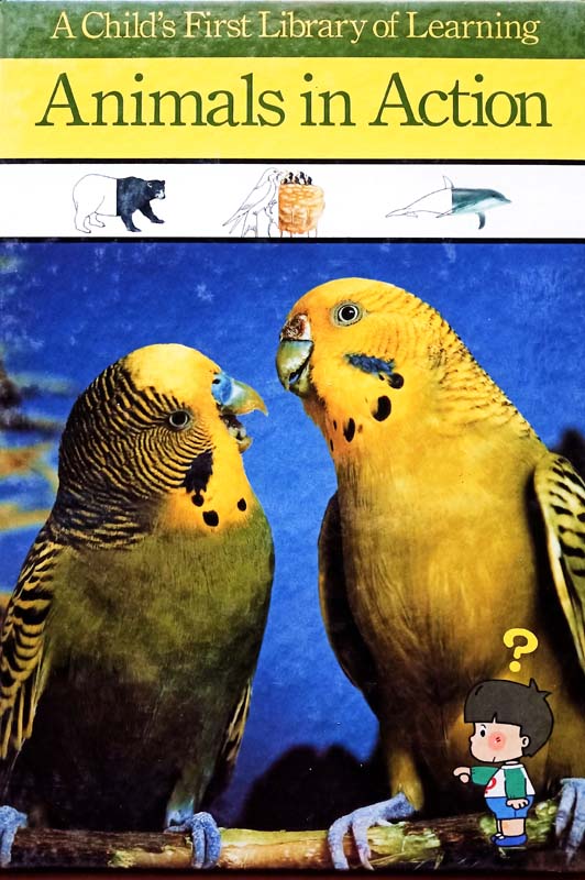 Animals In Action