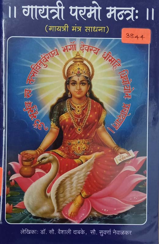 Dreamland America (ड्रीमलैंड अमेरिका) 